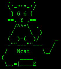 Netcat, a powerful computer networking utility